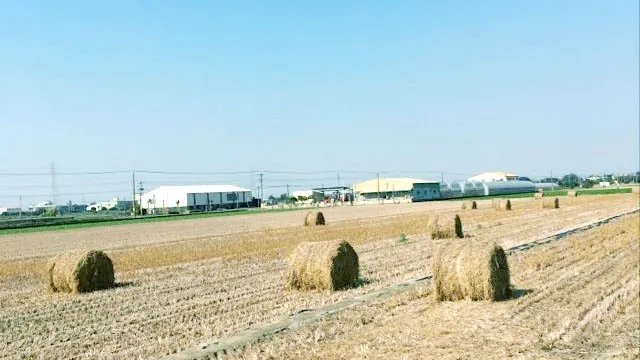 窺見複雜幽微的情感　讀《宛如走路的速度》（照片 1）