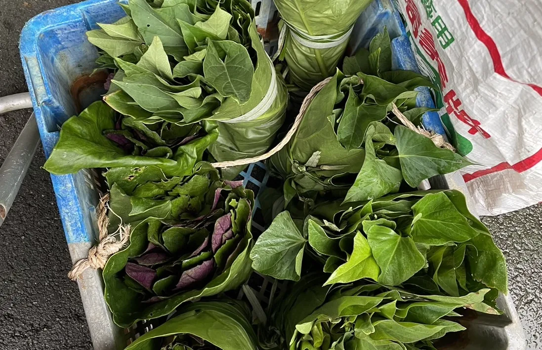 幫忙銷售的野菜被包得像花束一樣精美！