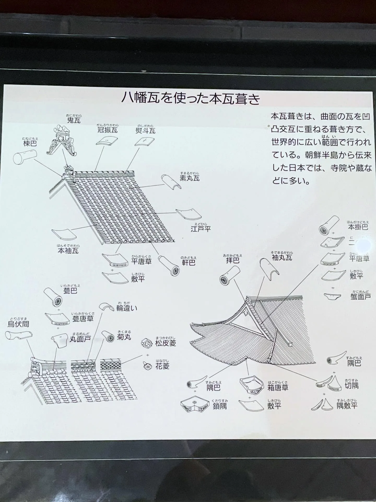 琵琶湖東側：長濱、彥根與近江八幡（照片 18）