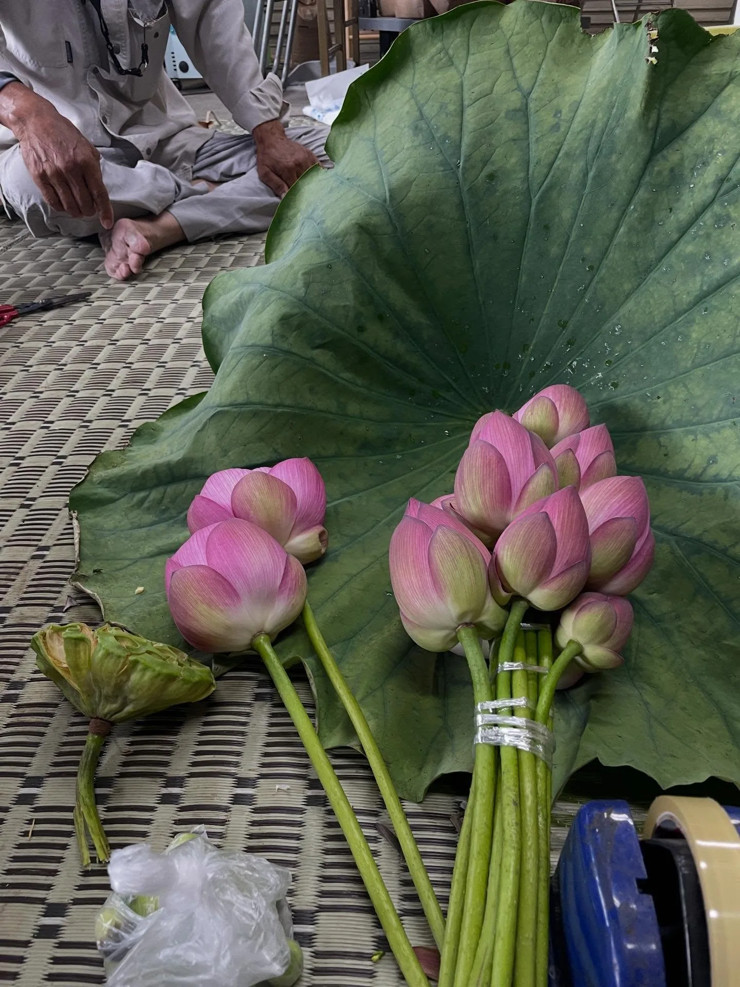 福井南越前町短居：蓮花鎮的生活、居民，與眼鏡（照片 1）