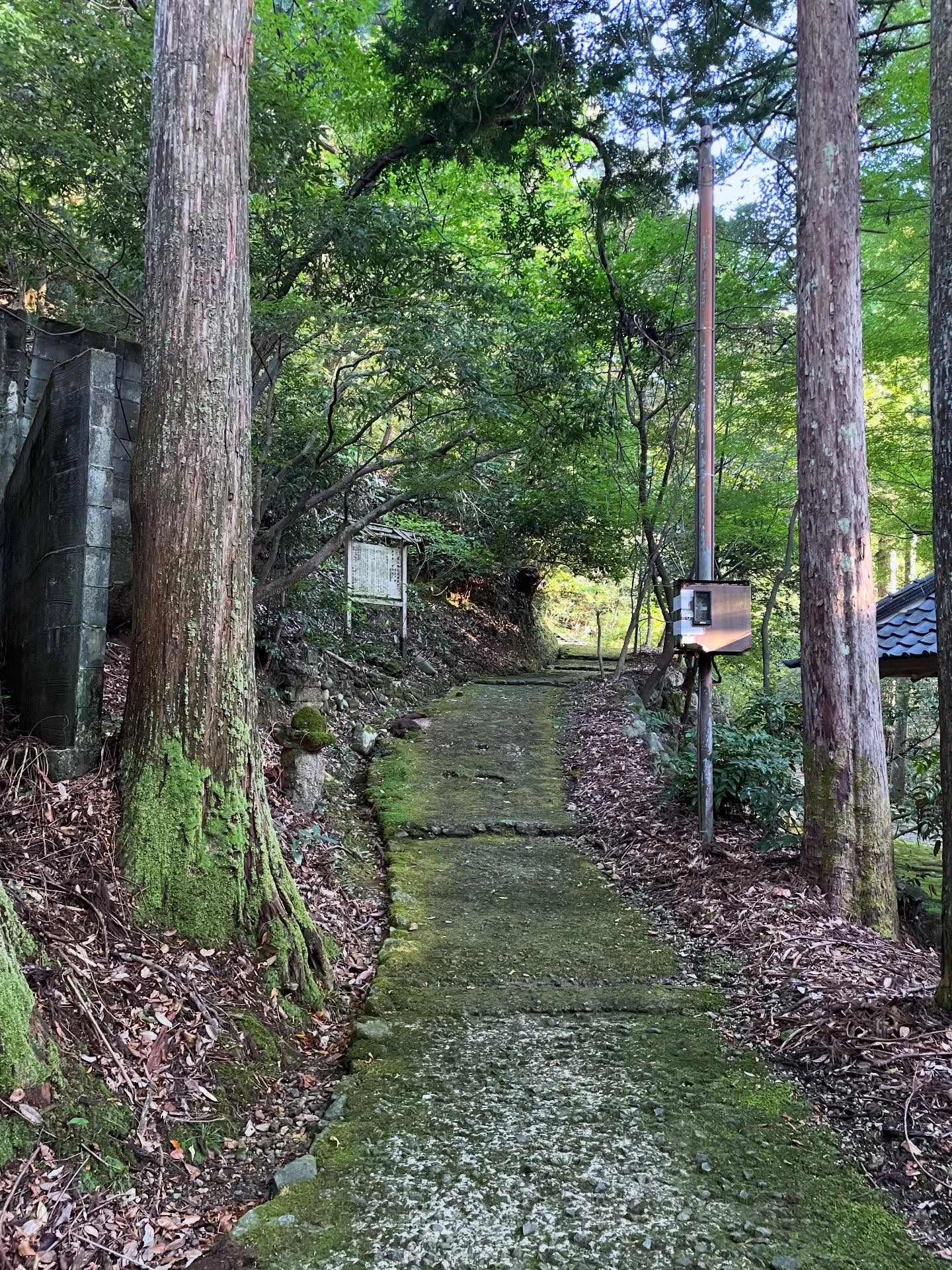 再回加賀：三大溫泉區、大聖寺與福井遊記（照片 2）
