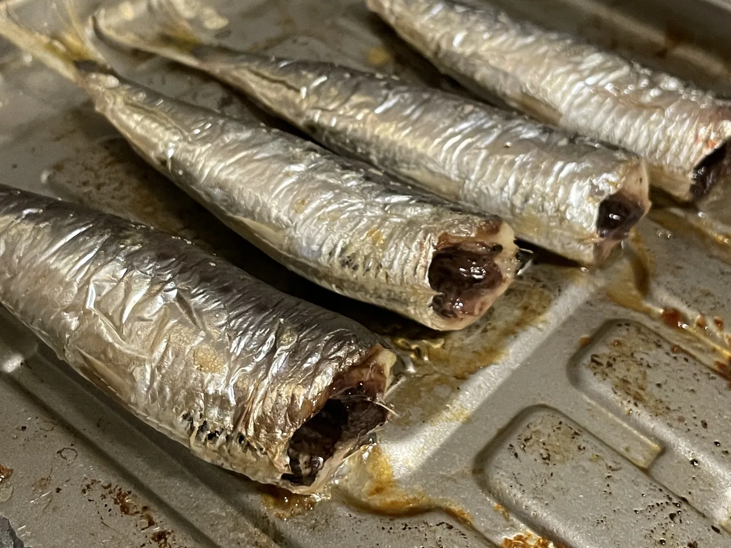 沙丁魚（真鰯）