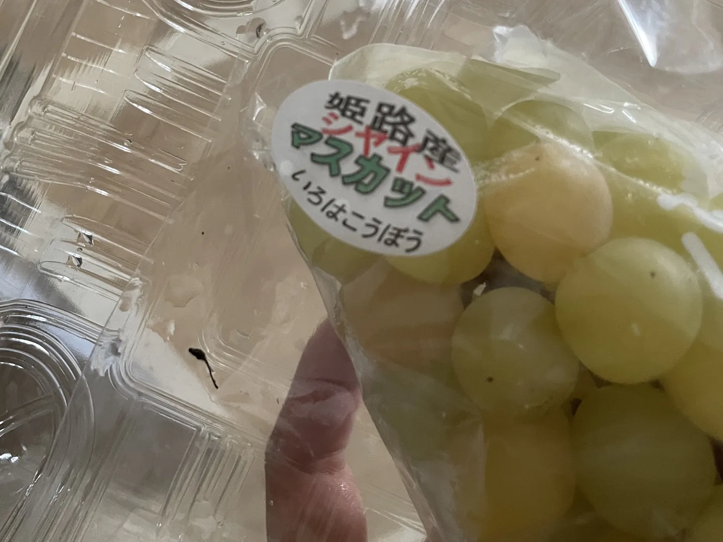 姬路產シャインマスカット（麝香葡萄）