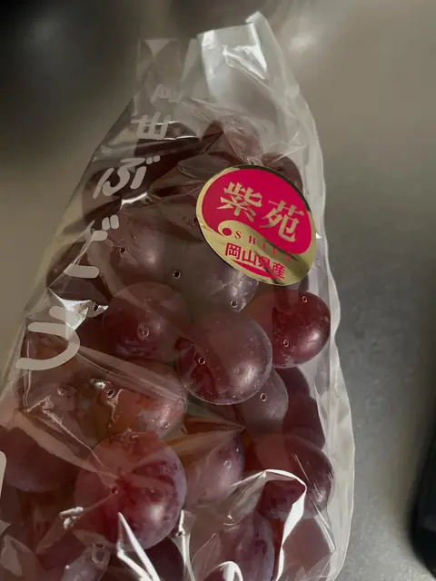 紫苑