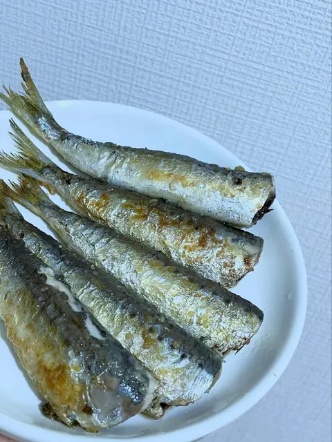 沙丁魚（真鰯）