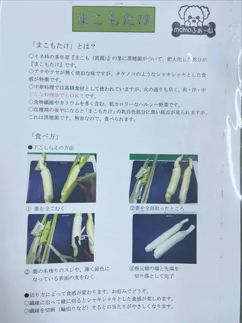 農會超市的筊白筍說明卡