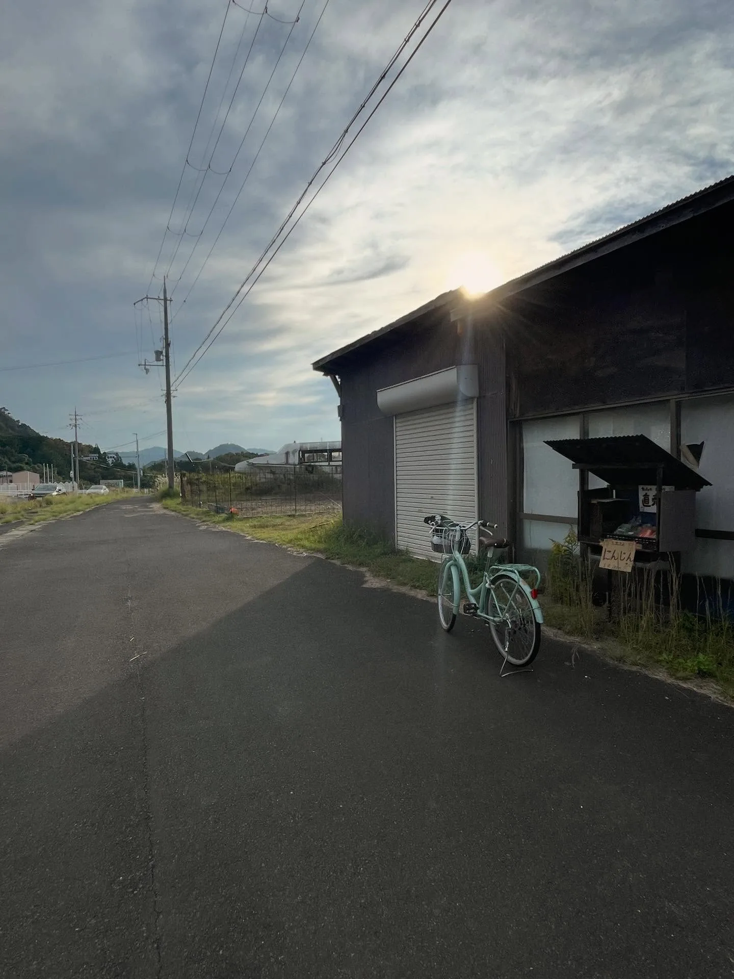 京丹後的地產蔬果，以及解禁的松葉蟹！（照片 1）