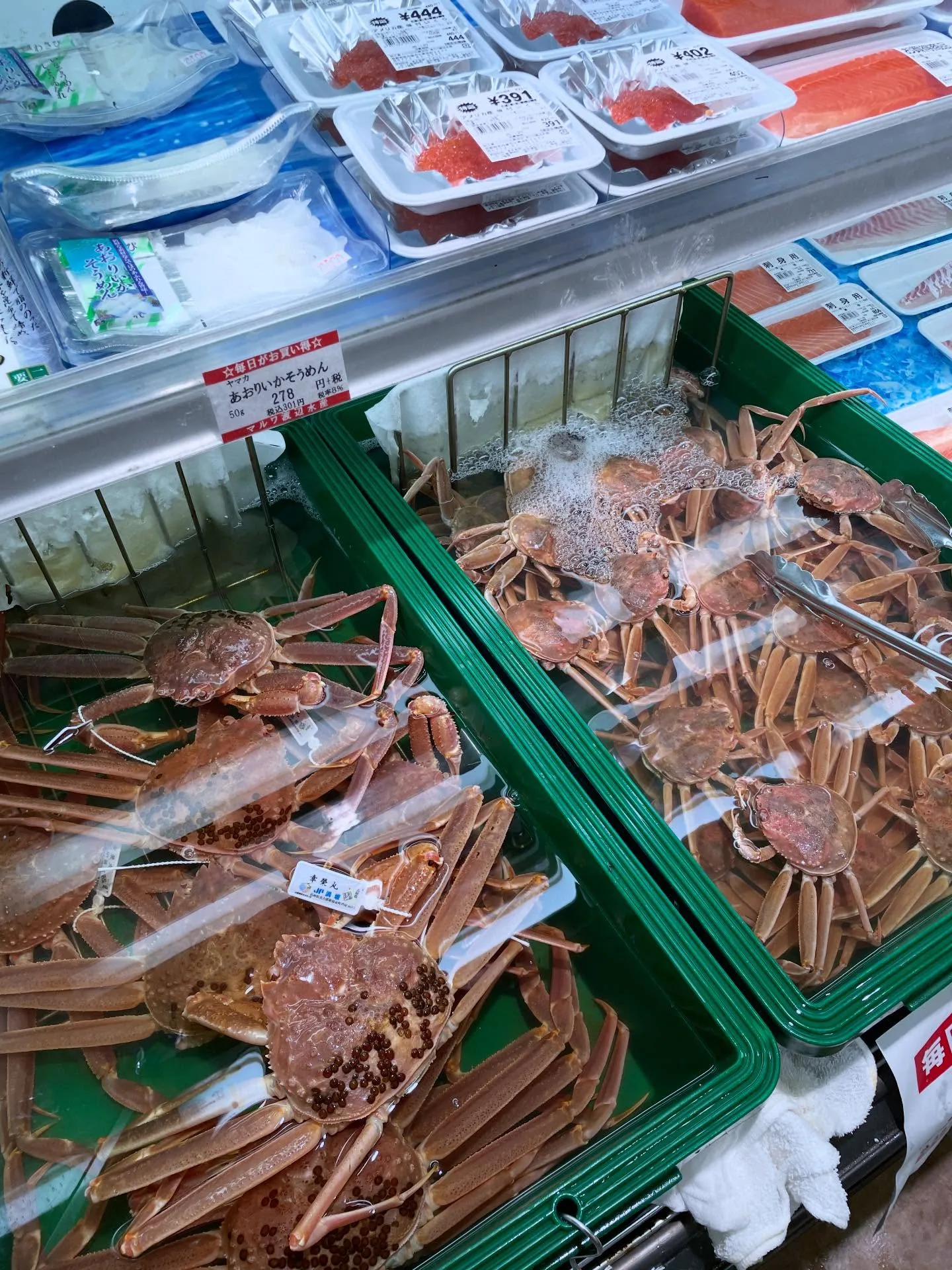 京丹後的地產蔬果，以及解禁的松葉蟹！（照片 6）