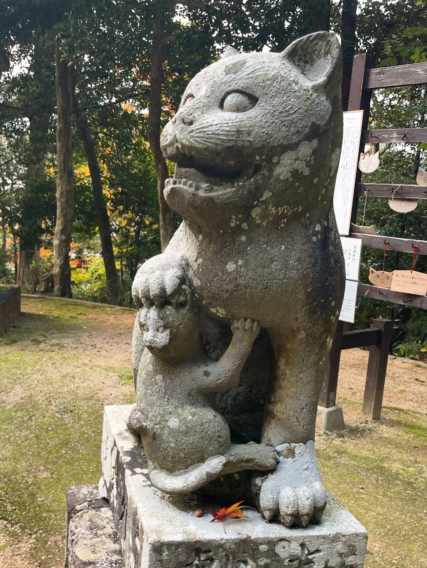 京丹後的一日旅遊：久美濱、網野、峰山（照片 7）