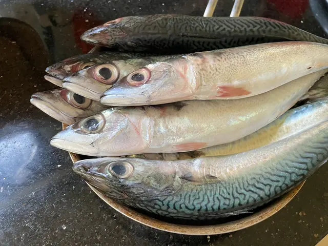 鯖魚三枚切與各種料理（照片 1/5）