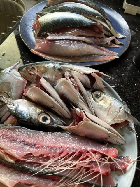 鯖魚三枚切與各種料理（照片 2/5）
