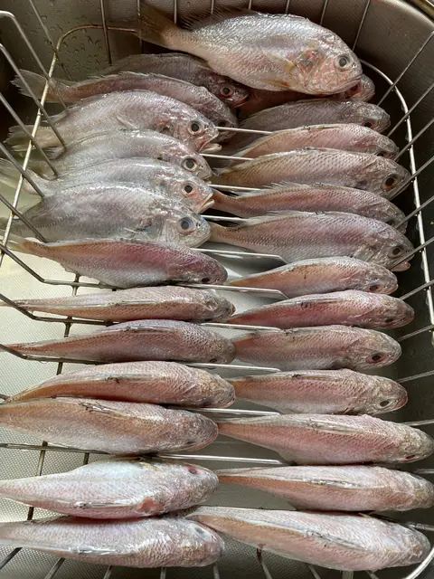 石首魚的各種料理（照片 3/3）